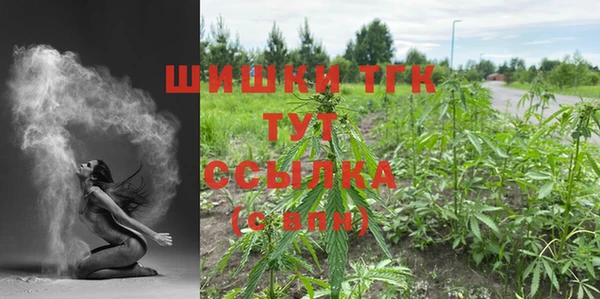 индика Лиски