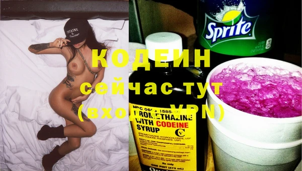 индика Лиски