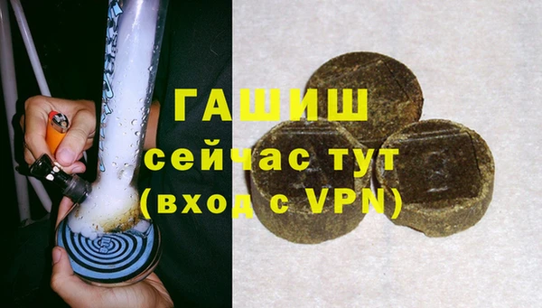 PSILOCYBIN Гусиноозёрск