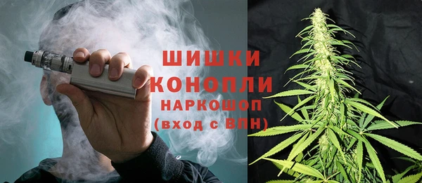 индика Лиски