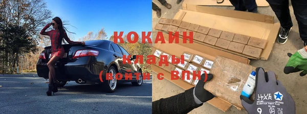 индика Лиски
