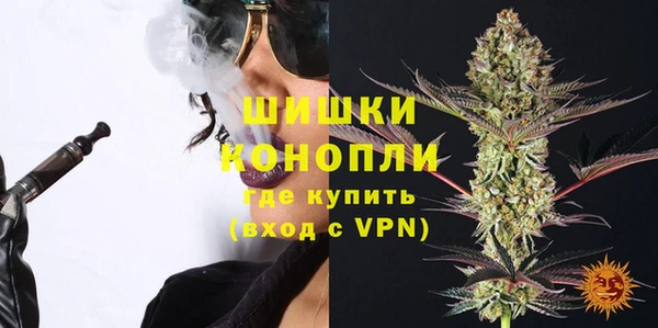 индика Новочеркасск