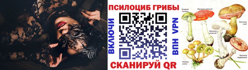 ОМГ ОМГ рабочий сайт  Венёв  Галлюциногенные грибы мицелий 